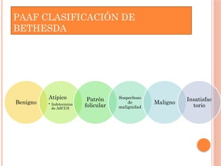 PAAF CLASIFICACIÓN DE
BETHESDA
Benigno
Atípico
• Indetermina
do ASCUS
Patrón
folicular
Sospechoso
de
malignidad
Maligno
Insatisfac
torio
 