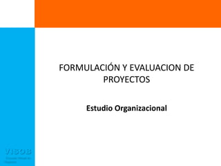 FORMULACIÓN Y EVALUACION DE PROYECTOS Estudio Organizacional 