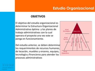 Nivel EstratégicoDirecciónNivel TácticoTalento HumanoProducciónMercadeoContab y FinanzNivel OperativoEstudio Organizacional OBJETIVOSEl objetivo del estudio organizacional es determinar la Estructura Organizacional Administrativa óptima  y los planes de trabajo administrativos con la cual operara el proyecto una vez este se ponga en funcionamiento. Del estudio anterior, se deben determinar los requerimientos de recursos humanos, de locación, muebles y enseres, equipos, tecnología y financieros para atender los procesos administrativos
