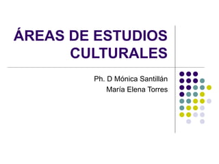 ÁREAS DE ESTUDIOS
CULTURALES
Ph. D Mónica Santillán
María Elena Torres

 