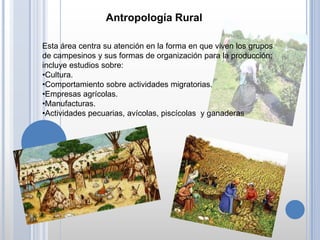 Estudios de la antropología social | PPTX