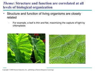 Introduction to Biology: Themes, Structure, and Evolution of Life | PPT