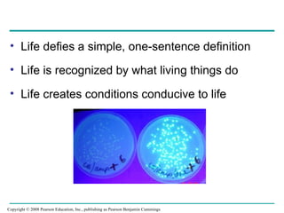 Life Explation Introduction to Biology: Themes, Structure, and Evolution of Life | PPT