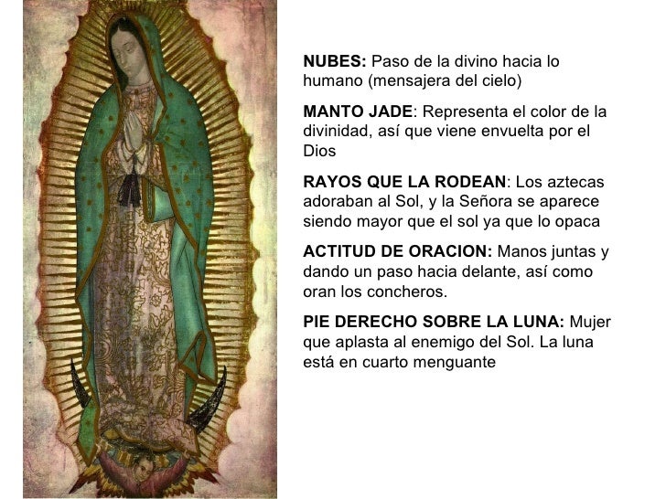 Estudios de virgen de guadalupe