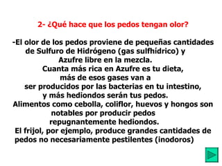          2- ¿Qué hace que los pedos tengan olor?            -El olor de los pedos proviene de pequeñas cantidades de Sulfuro de Hidrógeno (gas sulfhídrico) y Azufre libre en la mezcla.          Cuanta más rica en Azufre es tu dieta, más de esos gases van a          ser producidos por las bacterias en tu intestino, y más hediondos serán tus pedos.          Alimentos como cebolla, coliflor, huevos y hongos son notables por producir pedos  repugnantemente hediondos.          El frijol, por ejemplo, produce grandes cantidades de pedos no necesariamente pestilentes (inodoros) 