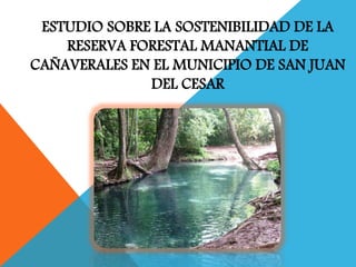ESTUDIO SOBRE LA SOSTENIBILIDAD DE LA
RESERVA FORESTAL MANANTIAL DE
CAÑAVERALES EN EL MUNICIPIO DE SAN JUAN
DEL CESAR
 