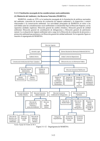 Capítulo 3 Consideraciones Ambientales y Sociales
3-15
Direccion Superior
Asesoria Legal
Auditoria Interna Unidad Central de Adquisiciones
Comunicacion Institucional del Poder Ciudadano Oficina de Acceso a la Informacion Pública
Division de
Recursos
Humanos
Direccion General de
Calidad Ambiental
Direccion General de
Patrimonio
Division
Administrativa
Division
Financiera
Division de
Politicas
estrantegicas
y Cooperacion
Internacional
Division de
educacion
ambiental y
participacion
Comunitaria
Direccion de
Atencion a las
Emergencias
Ambientales
Direccion de
adaptacion
al Cambio
Climatico
Direccion
de
Segridad
Qumica
Direccion de
Evaluacion de
Proyectos y
proteccion Ambiental
Direccion de
Biodiversidad
Direccion de
Manejo
Integral
Promocion y
Desarrollo de
SINAP
Secdretaria
Ejecutiva del
Sereste
Secdretaria
Tecnica de
Bosawás
Sistema Nacional de Informacion Ambiental (
Direccion General
Administrativa
Direccion General de
Cambio Climatico
Direccion General de
Coodinacion de Delegaciones
Oficina de
Desarrollo
Limpio
Direccion General de Planificacion
Delegacion
Departamental
Division de
Planificacion
Institucional
Division de
formulacion
y
evaluacion
de
proyectos
Direccion de
Recursos
Hidricos y
Cuencas
Hidrograficas
Institución encargada de las consideraciones socio-ambientales
Ministerio del Ambiente y los Recursos Naturales (MARENA)
MARENA, creada en 1979, es la institución encargada de la formulación de políticas nacionales
del ambiente, concesión de licencias de evaluación de impacto ambiental y la inspección y control
relacionados a la conservación ambiental. Las actividades principales de MARENA en torno a las
actividades para las consideraciones socio-ambientales se desarrollan bajo la Dirección Superior, en las
siguientes unidades orgánicas: Dirección general de cambio climático, Dirección general de calidad
ambiental, Dirección general de coordinación de delegaciones y Dirección general de patrimonio
natural. La evaluación de impacto ambiental está a cargo de la Dirección de evaluación de proyectos y
protección ambiental que pertenece a la Dirección general de calidad ambiental. En la siguiente figura se
muestra el organigrama de MARENA.
Fuente: Equipo de Estudio de JICA
Figura 3-1-12 Organigrama de MARENA
 