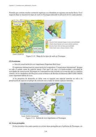Capítulo 3 Consideraciones Ambientales y Sociales
3-4
Humults que contiene muchas sustancias orgánicas y es abundante en regiones con mucha lluvia. En el
mapa de abajo se muestran los tipos de suelo en Nicaragua indicando la ubicación de los cuatro puentes.
Fuente: MARENA
Figura 3-1-5 Mapa de los tipos de suelo en Nicaragua
Ecosistema
a. Área de conservación de aves importantes (Important Bird Area)
El organismo internacional de conservación de la naturaleza “Conservation International” designa
en todo el mundo zonas de especial interés (“hot spot”) de cara a la biodiversidad y prioridad de
actividades de conservación. Nicaragua en Centroamérica está incluido en la zona hot spot en América
central y en los alrededores del Proyecto existe la Reserva de Biosfera de Bosawás (IBA CODE NI024)
como importante hábitat de aves.
A los proyectos de desarrollo en dicha zona se requiere una especial atención no solo a la
preservación de especies en peligro de extinción sino a todas las demás especies naturales.
Fuente: Birdlife International
Figura 3-1-6 Habitat de aves importantes en Nicaragua
Áreas protegidas
En las cercanías a los cuatro puentes no existen áreas protegidas por el gobierno de Nicaragua, sin
: Gleysols (Suelo saturado de agua con poca permeabilidad)
: Alfisols (Suelo húmedo en la zona de árboles latifolios)
: Humults (Suelo fértil con buena permeabilidad)
: Udults (Suelo rojizo y húmero durante el año)
: Gle so
Ẕleyendaẕ
HC
H
HC
H
HC
HC
HC
HC
HC
HC
HC
H
H
H
HC
H
HC
H
HC
H
H
H
H
H
H
H
H
H
HC
Puente Prinzapolkaᴾ
Puente Labúᴾ
Puente Lisaweᴾ
Puente Mulukukúᴾ
Lugares del proyecto
 