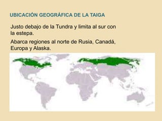 UBICACIÓN GEOGRÁFICA DE LA TAIGA
Justo debajo de la Tundra y limita al sur con
la estepa.
Abarca regiones al norte de Rusia, Canadá,
Europa y Alaska.
 