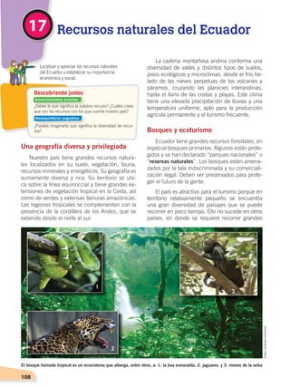 108
	 Localizar y apreciar los recursos naturales
	 del Ecuador y establecer su importancia
	 económica y social.
Recursos naturales del Ecuador17
Una geografía diversa y privilegiada
Nuestro país tiene grandes recursos natura-
les localizados en su suelo, vegetación, fauna,
recursos minerales y energéticos. Su geografía es
sumamente diversa y rica. Su territorio se ubi-
ca sobre la línea equinoccial y tiene grandes ex-
tensiones de vegetación tropical en la Costa, así
como de verdes y extensas llanuras amazónicas.
Las regiones tropicales se complementan con la
presencia de la cordillera de los Andes, que se
extiende desde el norte al sur.
La cadena montañosa andina conforma una
diversidad de valles y distintos tipos de suelos,
pisos ecológicos y microclimas, desde el frío he-
lado de las nieves perpetuas de los volcanes y
páramos, cruzando las planicies interandinas,
hasta el llano de las costas y playas. Este clima
tiene una elevada precipitación de lluvias y una
temperatura uniforme, apto para la producción
agrícola permanente y el turismo frecuente.
Bosques y ecoturismo
Ecuador tiene grandes recursos forestales, en
especial bosques primarios. Algunos están prote-
gidos y se han declarado “parques nacionales” o
“reservas naturales”. Los bosques están amena-
zados por la tala indiscriminada y su comerciali-
zación ilegal. Deben ser preservados para prote-
ger el futuro de la gente.
El país es atractivo para el turismo porque en
territorio relativamente pequeño se encuentra
una gran diversidad de paisajes que se puede
recorrer en poco tiempo. Ello no sucede en otros
países, en donde se requiere recorrer grandes
El bosque húmedo tropical es un ecosistema que alberga, entre otros, a: 1. la boa esmeralda, 2. jaguares, y 3. monos de la selva
1
2
3
Descubriendo juntos
¿Sabes lo que significa la palabra recurso? ¿Cuáles crees
que son los recursos con los que cuenta nuestro país?
¿Puedes imaginarte qué significa la diversidad de recur-
sos?
Fotos:CreativeCommons
Conocimientos previos
Desequilibrio cognitivo
ECONOMÍA DEL ECUADOR; pp.108-145 .indd 108 13/07/16 16:38
 