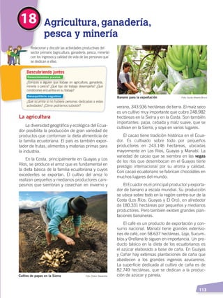   113
¿Conoces a alguien que trabaje en agricultura, ganadería,
minería o pesca? ¿Qué tipo de trabajo desempeña? ¿Qué
condiciones encuentra en su trabajo?
¿Qué ocurriría si no hubiera personas dedicadas a estas
actividades? ¿Cómo podríamos subsistir?
	 Relacionar y discutir las actividades productivas del
sector primario (agricultura, ganadería, pesca, minería)
con los ingresos y calidad de vida de las personas que
se dedican a ellas.
Descubriendo juntos
Agricultura, ganadería,
pesca y minería
18
verano, 343.936 hectáreas de tierra. El maíz seco
es un cultivo muy importante que cubre 248.982
hectáreas en la Sierra y en la Costa. Son también
importantes: papa, cebada y maíz suave, que se
cultivan en la Sierra, y soya en varios lugares.
El cacao tiene tradición histórica en el Ecua-
dor. Es cultivado sobre todo por pequeños
productores en 243.146 hectáreas, ubicadas
mayormente en Los Ríos, Guayas y Manabí. La
variedad de cacao que se siembra en las vegas
de los ríos que desembocan en el Guayas tiene
prestigio internacional por su aroma y calidad.
Con cacao ecuatoriano se fabrican chocolates en
muchos lugares del mundo.
El Ecuador es el principal productor y exporta-
dor de banano a escala mundial. Su producción
se ubica sobre todo en la región centro-sur de la
Costa (Los Ríos, Guayas y El Oro), en alrededor
de 180.331 hectáreas por pequeños y medianos
productores. Pero también existen grandes plan-
taciones bananeras.
El café es un producto de exportación y con-
sumo nacional. Manabí tiene grandes extensio-
nes de café, con 58.637 hectáreas. Loja, Sucum-
bíos y Orellana le siguen en importancia. Un pro-
ducto básico en la dieta de los ecuatorianos es
el azúcar elaborado a base de caña. En Guayas
y Cañar hay extensas plantaciones de caña que
abastecen a los grandes ingenios azucareros.
La superficie dedicada al cultivo de caña es de
82.749 hectáreas, que se dedican a la produc-
ción de azúcar y panela.
La agricultura
La diversidad geográfica y ecológica del Ecua-
dor posibilita la producción de gran variedad de
productos que conforman la dieta alimenticia de
la familia ecuatoriana. El país es también expor-
tador de frutas, alimentos y materias primas para
la industria.
En la Costa, principalmente en Guayas y Los
Ríos, se produce el arroz que es fundamental en
la dieta básica de la familia ecuatoriana y cuyos
excedentes se exportan. El cultivo del arroz lo
realizan pequeños y medianos productores cam-
pesinos que siembran y cosechan en invierno y
Cultivo de papas en la Sierra Foto: Edwin Navarrete
Banano para la exportación Foto: Guido Alberto Bricio
Conocimientos previos
Desequilibrio cognitivo
ECONOMÍA DEL ECUADOR; pp.108-145 .indd 113 13/07/16 16:38
 