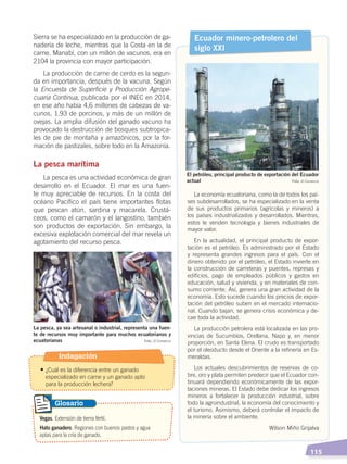   115
Sierra se ha especializado en la producción de ga-
nadería de leche, mientras que la Costa en la de
carne. Manabí, con un millón de vacunos, era en
2104 la provincia con mayor participación.
La producción de carne de cerdo es la segun-
da en importancia, después de la vacuna. Según
la Encuesta de Superficie y Producción Agrope-
cuaria Continua, publicada por el INEC en 2014,
en ese año había 4,6 millones de cabezas de va-
cunos, 1,93 de porcinos, y más de un millón de
ovejas. La amplia difusión del ganado vacuno ha
provocado la destrucción de bosques subtropica-
les de pie de montaña y amazónicos, por la for-
mación de pastizales, sobre todo en la Amazonía.
La pesca marítima
La pesca es una actividad económica de gran
desarrollo en el Ecuador. El mar es una fuen-
te muy apreciable de recursos. En la costa del
océano Pacífico el país tiene importantes flotas
que pescan atún, sardina y macarela. Crustá-
ceos, como el camarón y el langostino, también
son productos de exportación. Sin embargo, la
excesiva explotación comercial del mar revela un
agotamiento del recurso pesca.
Ecuador minero-petrolero del
siglo XXI
La economía ecuatoriana, como la de todos los paí-
ses subdesarrollados, se ha especializado en la venta
de sus productos primarios (agrícolas y mineros) a
los países industrializados y desarrollados. Mientras,
estos le venden tecnología y bienes industriales de
mayor valor.
En la actualidad, el principal producto de expor-
tación es el petróleo. Es administrado por el Estado
y representa grandes ingresos para el país. Con el
dinero obtenido por el petróleo, el Estado invierte en
la construcción de carreteras y puentes, represas y
edificios, pago de empleados públicos y gastos en
educación, salud y vivienda, y en materiales de con-
sumo corriente. Así, genera una gran actividad de la
economía. Esto sucede cuando los precios de expor-
tación del petróleo suben en el mercado internacio-
nal. Cuando bajan, se genera crisis económica y de-
cae toda la actividad.
La producción petrolera está localizada en las pro-
vincias de Sucumbíos, Orellana, Napo y, en menor
proporción, en Santa Elena. El crudo es transportado
por el oleoducto desde el Oriente a la refinería en Es-
meraldas.
Los actuales descubrimientos de reservas de co-
bre, oro y plata permiten predecir que el Ecuador con-
tinuará dependiendo económicamente de las expor-
taciones mineras. El Estado debe dedicar los ingresos
mineros a fortalecer la producción industrial, sobre
todo la agroindustrial, la economía del conocimiento y
el turismo. Asimismo, deberá controlar el impacto de
la minería sobre el ambiente.
Wilson Miño Grijalva
Vegas. Extensión de tierra fértil.
Hato ganadero. Regiones con buenos pastos y agua
aptas para la cría de ganado.
Glosario
La pesca, ya sea artesanal o industrial, representa una fuen-
te de recursos muy importante para muchos ecuatorianos y
ecuatorianas
El petróleo, principal producto de exportación del Ecuador
actual
Foto: El Comercio
Foto: El Comercio
Indagación
• ¿Cuál es la diferencia entre un ganado
especializado en carne y un ganado apto
	 para la producción lechera?
ECONOMÍA DEL ECUADOR; pp.108-145 .indd 115 13/07/16 16:38
 