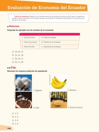144144
Evaluación de Economía del Ecuador
144
n Relaciona
Empareja los ejemplos con los sectores de la economía:
n n Elige
Reconoce los mayores productos de exportación
1. Sector primario a) Fábrica de tejidos
2. Sector secundario b) Plantación de hortalizas
3. Sector terciario c) Exportaciones de llantas
a)	 1b, 2a, 3c
b)	 1a, 2c, 3b
c)	 2b, 3a, 1c
d)	 2a, 1c, 3b
a)	 1, 2
b)	 2, 3
c)	 3, 4
d)	 1, 4
Criterio de evaluación: Explica el rol y funcionamiento de los sectores económicos del Ecuador y el papel que
cumplen cada uno de ellos en la economía del país, reconociendo la intervención del Estado en la economía y sus
efectos en la sociedad.
1. Algodón
3. Café
2. Banano
4. Caña de azúcar
Foto:CreativeCommons
Foto:CreativeCommons
Fotomotaje:CEN
Fotomotaje:CEN
ECONOMÍA DEL ECUADOR; pp.108-145 .indd 144 13/07/16 16:38
 