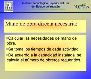 Instituto Tecnológico Superior del Sur
                 del Estado de Yucatán
        Organismo Público Descentralizado del Gobierno del Estado




Mano de obra directa necesaria:

Calcular las necesidades de mano de
obra.
Se toma los tiempos de cada actividad
De acuerdo a la capacidad instalada se
calcula el número de obreros requeridos.
 