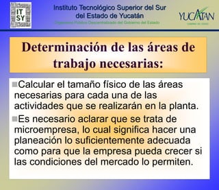 Instituto Tecnológico Superior del Sur
                  del Estado de Yucatán
         Organismo Público Descentralizado del Gobierno del Estado




  Determinación de las áreas de
       trabajo necesarias:
Calcular el tamaño físico de las áreas
necesarias para cada una de las
actividades que se realizarán en la planta.
Es necesario aclarar que se trata de
microempresa, lo cual significa hacer una
planeación lo suficientemente adecuada
como para que la empresa pueda crecer si
las condiciones del mercado lo permiten.
 