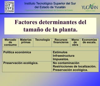 Instituto Tecnológico Superior del Sur
                      del Estado de Yucatán
              Organismo Público Descentralizado del Gobierno del Estado




       Factores determinantes del
          tamaño de la planta.
Mercado    Materias       Tecnología             Recursos            Mano   Economías
   de      primas                               financieros           de    de escala.
consumo                                                              obra

Política económica                             Estímulos
                                               Infraestructura
                                               Impuestos.
Preservación ecológica.                        No contaminación
                                               Restricciones de localización.
                                               Preservación ecológica.
 