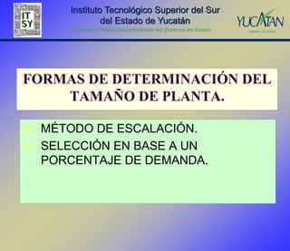 Instituto Tecnológico Superior del Sur
               del Estado de Yucatán
      Organismo Público Descentralizado del Gobierno del Estado




FORMAS DE DETERMINACIÓN DEL
    TAMAÑO DE PLANTA.

a) MÉTODO DE ESCALACIÓN.
b) SELECCIÓN EN BASE A UN
  PORCENTAJE DE DEMANDA.
 