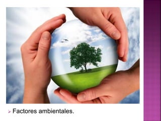  Factores ambientales.
 