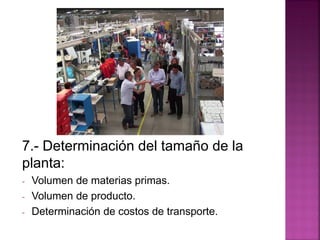 7.- Determinación del tamaño de la
planta:
- Volumen de materias primas.
- Volumen de producto.
- Determinación de costos de transporte.
 