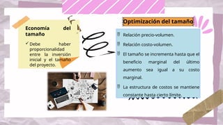  Relación precio-volumen.
 Relación costo-volumen.
 El tamaño se incrementa hasta que el
beneficio marginal del último
aumento sea igual a su costo
marginal.
 La estructura de costos se mantiene
constante hasta cierto límite.
Economía del
tamaño
Debe haber
proporcionalidad
entre la inversión
inicial y el tamaño
del proyecto.
Optimización del tamaño
 