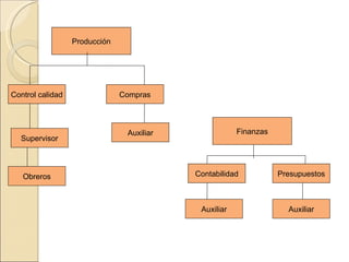 Producción Control calidad Compras Obreros Supervisor Auxiliar Finanzas Auxiliar Presupuestos Auxiliar Contabilidad 