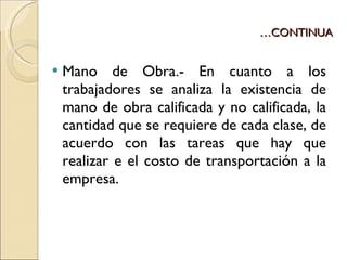 … CONTINUA Mano de Obra.- En cuanto a los trabajadores se analiza la existencia de mano de obra calificada y no calificada, la cantidad que se requiere de cada clase, de acuerdo con las tareas que hay que realizar e el costo de transportación a la empresa. 