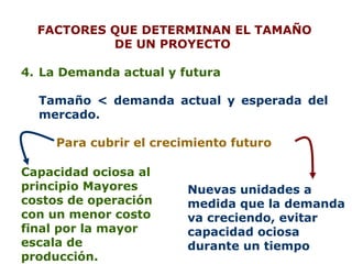 FACTORES QUE DETERMINAN EL TAMAÑO DE UN PROYECTO  La Demanda actual y futura Tamaño  <  demanda actual y esperada del mercado.  Para cubrir el crecimiento futuro Capacidad ociosa al principio Mayores costos de operación con un menor costo final por la mayor escala de producción.   Nuevas unidades a medida que la demanda va creciendo, evitar capacidad ociosa durante un tiempo 