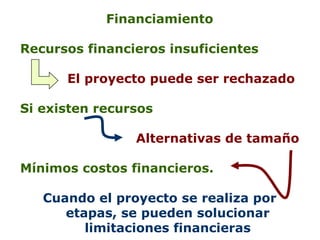Financiamiento Recursos financieros insuficientes   El proyecto puede ser rechazado   Si existen recursos Alternativas de tamaño Mínimos costos financieros.  Cuando el proyecto se realiza por etapas, se pueden solucionar limitaciones financieras 
