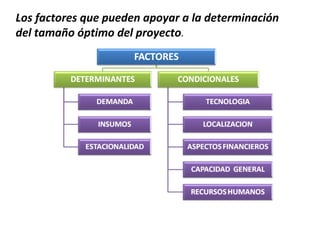 Los factores que pueden apoyar a la determinación
del tamaño óptimo del proyecto.
 