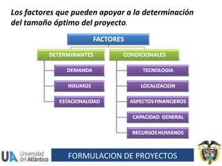 Los factores que pueden apoyar a la determinación del tamaño óptimo del proyecto . FORMULACION DE PROYECTOS 