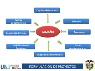 FORMULACION DE PROYECTOS TAMAÑO Posibilidades de Expansión Obras complementarias Economías de Escala Política Gubernamental Disponibilidad de Insumos Tecnología Mercado Capacidad Financiera 