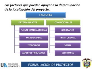 Los factores que pueden apoyar a la determinación de la localización del proyecto . FORMULACION DE PROYECTOS 