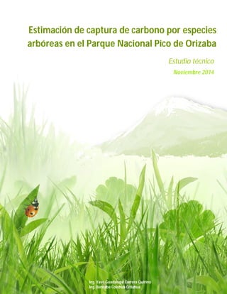 Estimación de captura de carbono por especies
arbóreas en el Parque Nacional Pico de Orizaba
Estudio técnico
Noviembre 2014
Ing. Yavé Guadalupe Carrera Quirino
Ing. Bernabe Colohua Citlahua
 