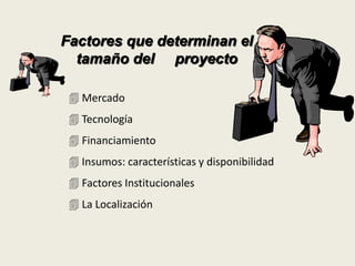 Factores que determinan el 
tamaño del proyecto 
 Mercado 
 Tecnología 
 Financiamiento 
 Insumos: características y disponibilidad 
 Factores Institucionales 
 La Localización 
 