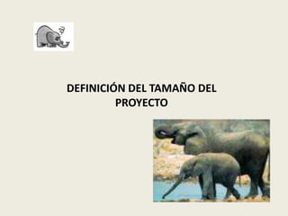 DEFINICIÓN DEL TAMAÑO DEL 
PROYECTO 
 