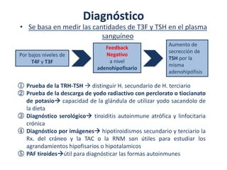 Diagnóstico
• Se basa en medir las cantidades de T3F y TSH en el plasma
                          sanguíneo
                                                         Aumento de
                                Feedback
                                                         secrección de
Por bajos niveles de            Negativo
                                                         TSH por la
     T4F y T3F                   a nivel
                                                         misma
                             adenohipofisario
                                                         adenohipófisis

① Prueba de la TRH-TSH  distinguir H. secundario de H. terciario
② Prueba de la descarga de yodo radiactivo con perclorato o tiocianato
  de potasio capacidad de la glándula de utilizar yodo sacandolo de
  la dieta
③ Diagnóstico serológico tiroiditis autoinmune atrófica y linfocitaria
  crónica
④ Diagnóstico por imágenes hipotiroidismos secundario y terciario la
  Rx. del cráneo y la TAC o la RNM son útiles para estudiar los
  agrandamientos hipofisarios o hipotalamicos
⑤ PAF tiroidesútil para diagnósticar las formas autoinmunes 
 