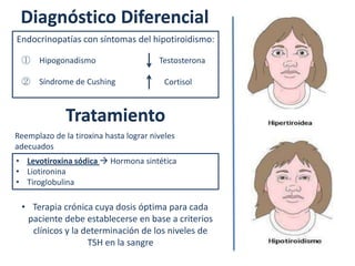 Diagnóstico Diferencial
Endocrinopatías con síntomas del hipotiroidismo:

 ① Hipogonadismo                        Testosterona

 ② Síndrome de Cushing                    Cortisol



              Tratamiento
Reemplazo de la tiroxina hasta lograr niveles
adecuados
• Levotiroxina sódica  Hormona sintética
• Liotironina
• Tiroglobulina

 • Terapia crónica cuya dosis óptima para cada
  paciente debe establecerse en base a criterios
   clínicos y la determinación de los niveles de
                  TSH en la sangre
 