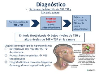Diagnóstico
                    • Se basa en la detección de T4F ,T3F y
                                TSH en la sangre
                                                              Bajada de
                                     Feedback
                                                              secrección de
   Por niveles altos de              Negativo
                                                              TSH por la
        T4F y T3F                     a nivel
                                                              misma
                                  adenohipofisario
                                                              adenohipófisis

             En toda tirotóxicosis  bajos niveles de TSH y
                 altos niveles de T4F y T3F en la sangre
Diagnóstico según tipo de hipertiroidismo:
① Detección Ac anti-receptor TSH 
    Autoinmune
② Pruebas hemato-químicas  VES
    tireoglobulina
③ Ecografía tiroidea con color-Doppler o
    Gammografia con captación de yodo
 