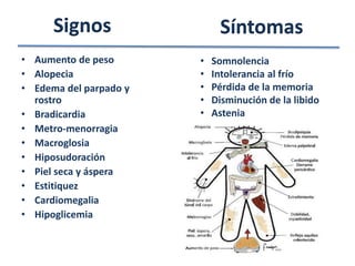 Signos                 Síntomas
• Aumento de peso       •   Somnolencia
• Alopecia              •   Intolerancia al frío
• Edema del parpado y   •   Pérdida de la memoria
  rostro                •   Disminución de la libido
• Bradicardia           •   Astenia
• Metro-menorragia
• Macroglosia
• Hiposudoración
• Piel seca y áspera
• Estitiquez
• Cardiomegalia
• Hipoglicemia
 