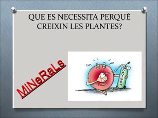 QUE ES NECESSITA PERQUÈ
  CREIXIN LES PLANTES?




        Ls
     R a
    e
 iN
M
 