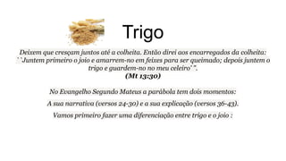 Trigo
Deixem que cresçam juntos até a colheita. Então direi aos encarregados da colheita:
``Juntem primeiro o joio e amarrem-no em feixes para ser queimado; depois juntem o
trigo e guardem-no no meu celeiro' ".
(Mt 13:30)
No Evangelho Segundo Mateus a parábola tem dois momentos:
A sua narrativa (versos 24-30) e a sua explicação (versos 36-43).
Vamos primeiro fazer uma diferenciação entre trigo e o joio :
 