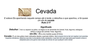 Cevada
E esteve Ela apanhando naquele campo até à tarde; e debulhou o que apanhou, e foi quase
um efa de cevada
Rute 2:17
Significado
Debulhar : tirar ou separar os grãos, os bagos ou as sementes de (cereal, fruta, legume); esbagoar.
retirar a casca de (cereal, fruta, legume).
Um Efa : Era uma medida quase 20 litros.
Cevada: É um dos grãos mais cultivados desde o período bíblico. Bem propicio de se dar em regiões com grandes
impactos climáticos, sabemos que ela é uma planta muito resistente, o que faz com que seja apta para resistir à seca e
adaptada para uma gama mais ampla de climas do que qualquer outro cereal
 