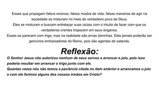 Esses que propagam falsos ensinos, falsos modos de vida, falsas maneiras de agir na
sociedade se misturam no meio do verdadeiro povo de Deus.
Eles se misturam e buscam entrelaçar suas raízes com o intuito de fazer com que os
verdadeiros crentes tropecem em seus enganos.
Esses se parecem com trigo, mas na realidade são ervas daninhas. Eles jamais poderão ser
genuínos embaixadores do Reino, pois são agentes de satanás.
Reflexão:
O Senhor Jesus não autorizou nenhum de seus servos a arrancar o joio, pois isso
poderia resultar em arrancar o trigo junto com ele.
Quantas vezes nós não temos a paciência citada no item anterior e arrancamos o joio
e com ele ferimos alguns dos nossos irmãos em Cristo?
 