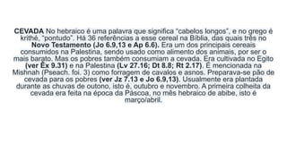 CEVADA No hebraico é uma palavra que significa “cabelos longos”, e no grego é
krithé, “pontudo”. Há 36 referências a esse cereal na Bíblia, das quais três no
Novo Testamento (Jo 6.9,13 e Ap 6.6). Era um dos principais cereais
consumidos na Palestina, sendo usado como alimento dos animais, por ser o
mais barato. Mas os pobres também consumiam a cevada. Era cultivada no Egito
(ver Êx 9.31) e na Palestina (Lv 27.16; Dt 8.8; Rt 2.17). É mencionada na
Mishnah (Pseach. foi. 3) como forragem de cavalos e asnos. Preparava-se pão de
cevada para os pobres (ver Jz 7.13 e Jo 6.9,13). Usualmente era plantada
durante as chuvas de outono, isto é, outubro e novembro. A primeira colheita da
cevada era feita na época da Páscoa, no mês hebraico de abibe, isto é
março/abril.
 