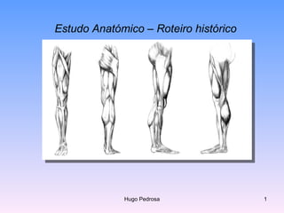 Estudo Anatómico – Roteiro histórico Hugo Pedrosa 
