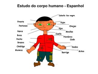 Estudo do corpo humano - Espanhol 