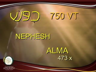 NEPHESHNEPHESH
ALMAALMA
750 VT750 VT
473 x473 x
 
