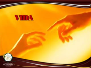 VIDAVIDA
 