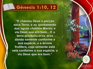 “E chamou Deus à porção 
seca Terra; e ao ajuntamento 
das águas chamou Mares; e 
viu Deus que era bom... E a 
terra produziu erva, erva 
dando semente conforme a 
sua espécie, e a árvore 
frutífera, cuja semente está 
nela conforme a sua espécie; e 
viu Deus que era bom.” 
 