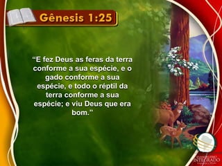 “E fez Deus as feras da terra 
conforme a sua espécie, e o 
gado conforme a sua 
espécie, e todo o réptil da 
terra conforme a sua 
espécie; e viu Deus que era 
bom.” 
 